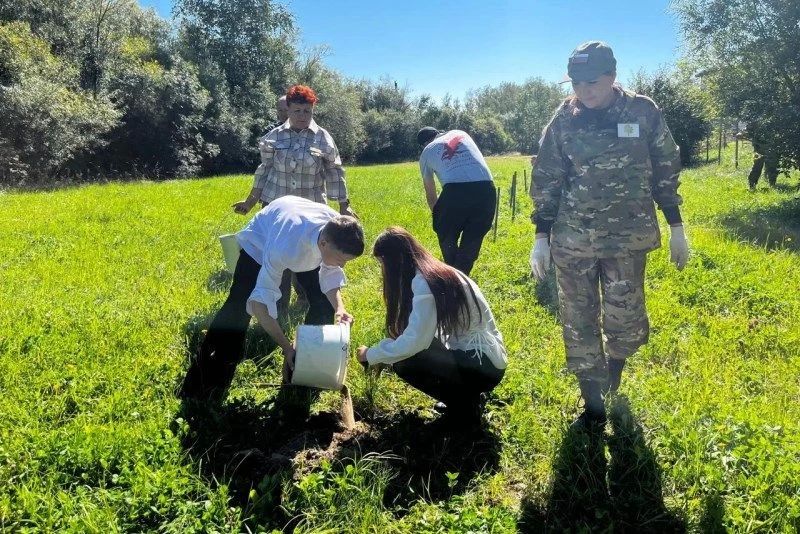 Первые аллеи в рамках акции "Сохраним лес" появились в Хабаровском крае Первые аллеи в рамках акции "Сохраним лес" появились в Хабаровском крае