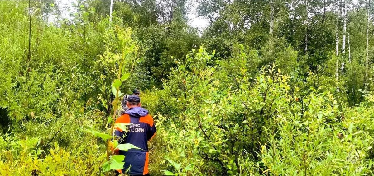 Спасатели нашли грибников, пропавших в лесу Хабаровского района