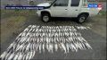 Пограничники и сотрудники ФСБ задержали браконьеров в Николаевском районе