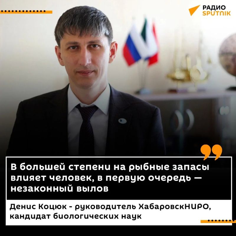 Почему лосося стало меньше в реках Хабаровского края?