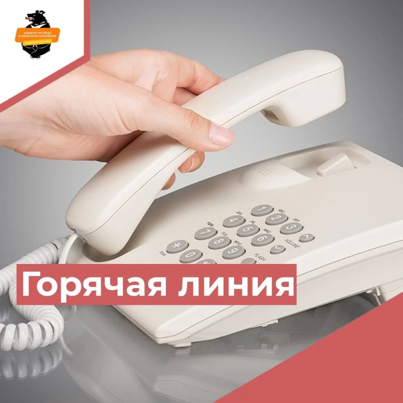 Состоится «горячая линия» по вопросам трудоустройства
