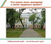 Старшеклассникам рассказали о трудовых правах