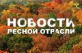 AK&M: В 31 регионе России за прошедшую неделю потушено 183 лесных пожара