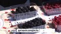 Выставка «Дары амурской осени» прошла в Хабаровске