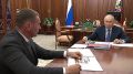 Владимир Путин обсудил с Дмитрием Демешиным развитие Хабаровского края