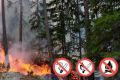 ����������� ������ �� ������ ������� �� 9:00 18 ��������