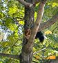 А у вас уже есть планы на выходные?