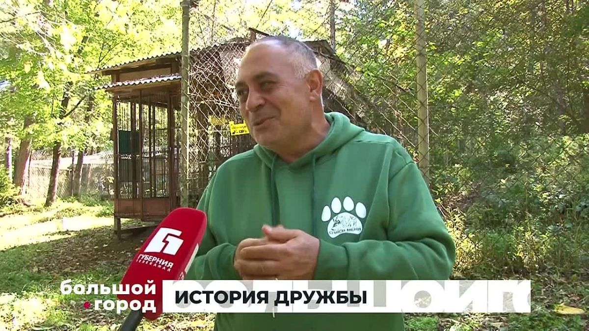 Спаситель тигра Жорика снова прилетел в Хабаровский край