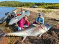 Тунец весом 285 кг стал новым рекордом Сахалина