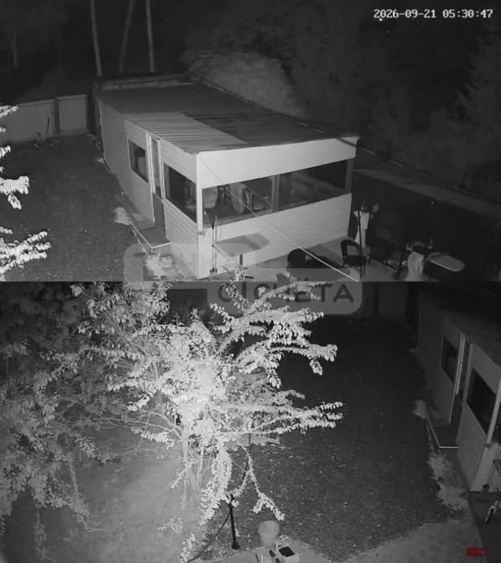 Медведь устроил себе завтрак на даче во Второй Пади