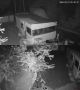 Медведь устроил себе завтрак на даче во Второй Пади