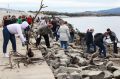 Присоединяйтесь к Всероссийской акции «Вода России»! 26 сентября 2026 года