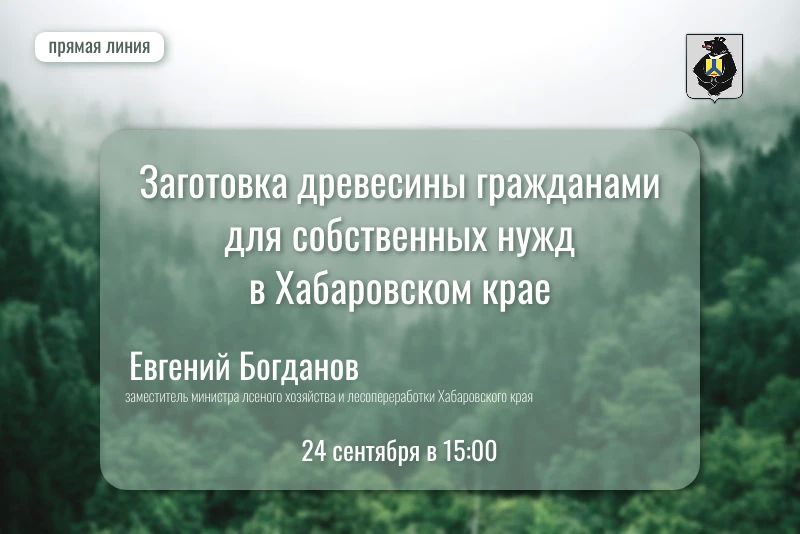 Прямая линия по вопросу заготовки древесины гражданами для собственных нужд в Хабаровском крае