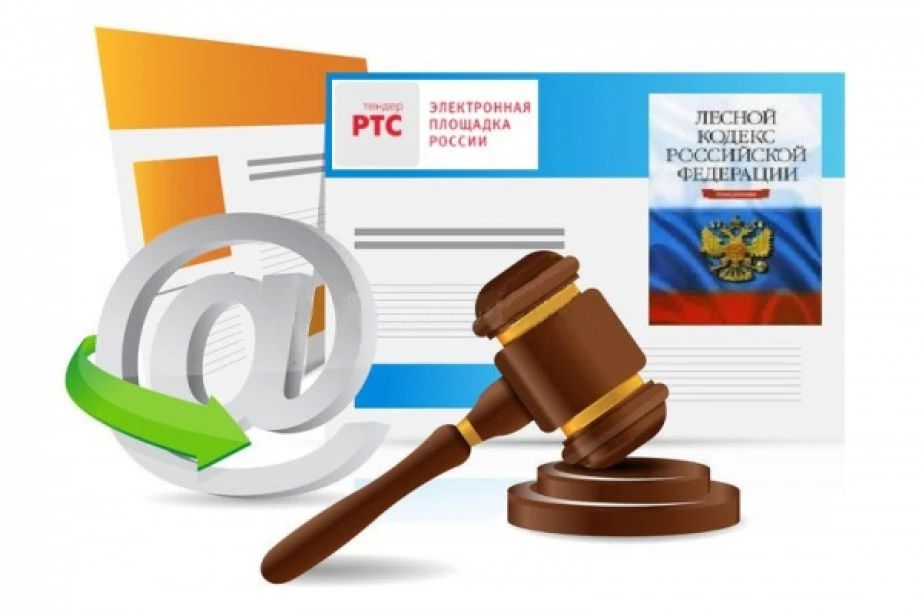Объявляется о проведении открытого аукциона