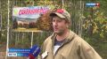 «Объединимся и превратим пожарища в тайгу»: в крае дали старт Всероссийской акции «Сохраним лес»