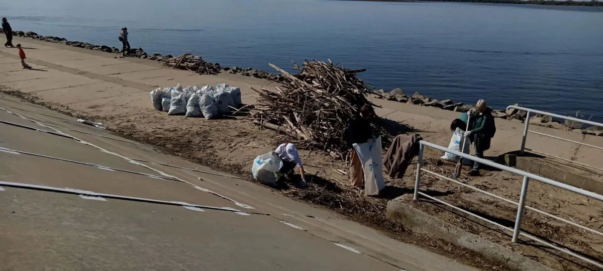 250 человек привели сегодня в порядок дамбу в Хабаровске 250 человек привели сегодня в порядок дамбу в Хабаровске