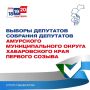 ИТОГИ ЕДГ 2026: Выборы депутатов Собрания депутатов Амурского муниципального округа первого созыва