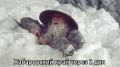 Снегом засыпет Хабаровский край