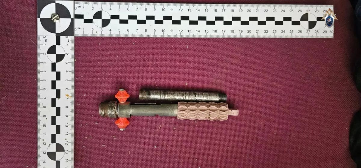 В Хабаровске местный житель предстанет перед судом за убийство знакомого