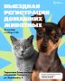 Выездная регистрация и вакцинация домашних животных пройдет в Хабаровске