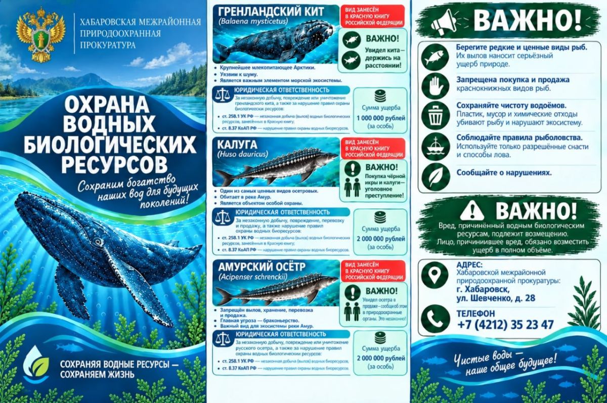 Хабаровская межрайонная природоохранная прокуратура подготовила для жителей края праворазъяснительные буклеты Хабаровская межрайонная природоохранная прокуратура подготовила для жителей края праворазъяснительные буклеты