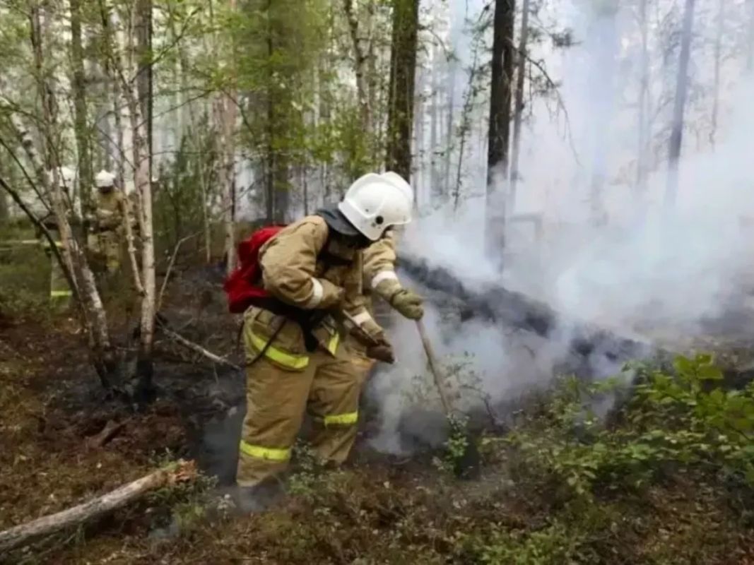 В Хабаровском крае продолжает действовать один лесной пожар