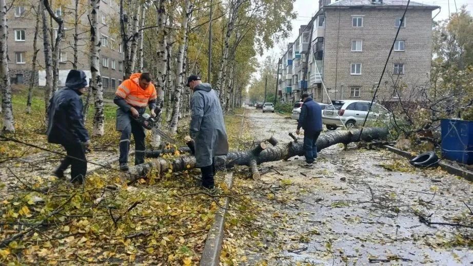 В Хабаровском крае устраняют последствия тайфуна «Джеби» В Хабаровском крае устраняют последствия тайфуна «Джеби»