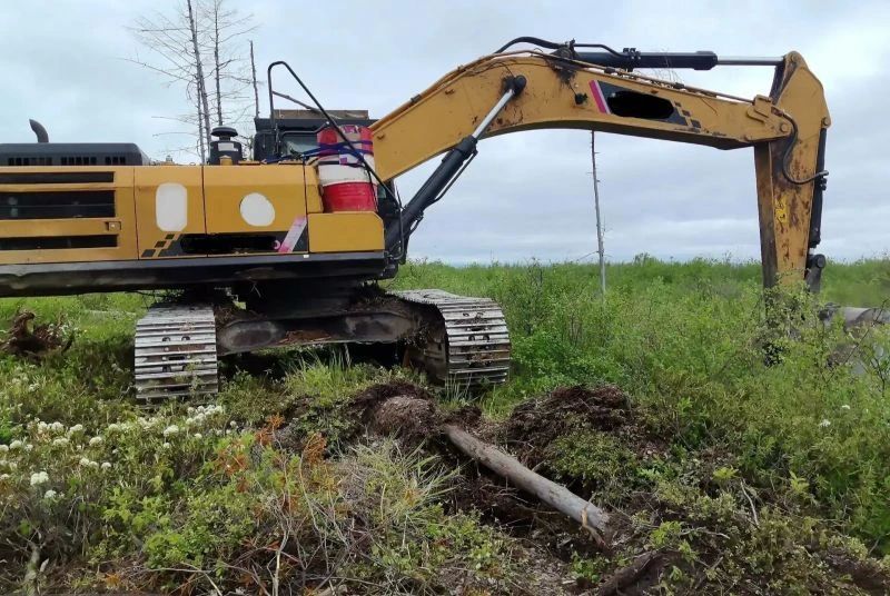 В Николаевском районе направлено в суд уголовное дело о незаконной рубке лесных насаждений с общей суммой ущерба более 11,8 млн рублей В Николаевском районе направлено в суд уголовное дело о незаконной рубке лесных насаждений с общей суммой ущерба более 11,8 млн рублей