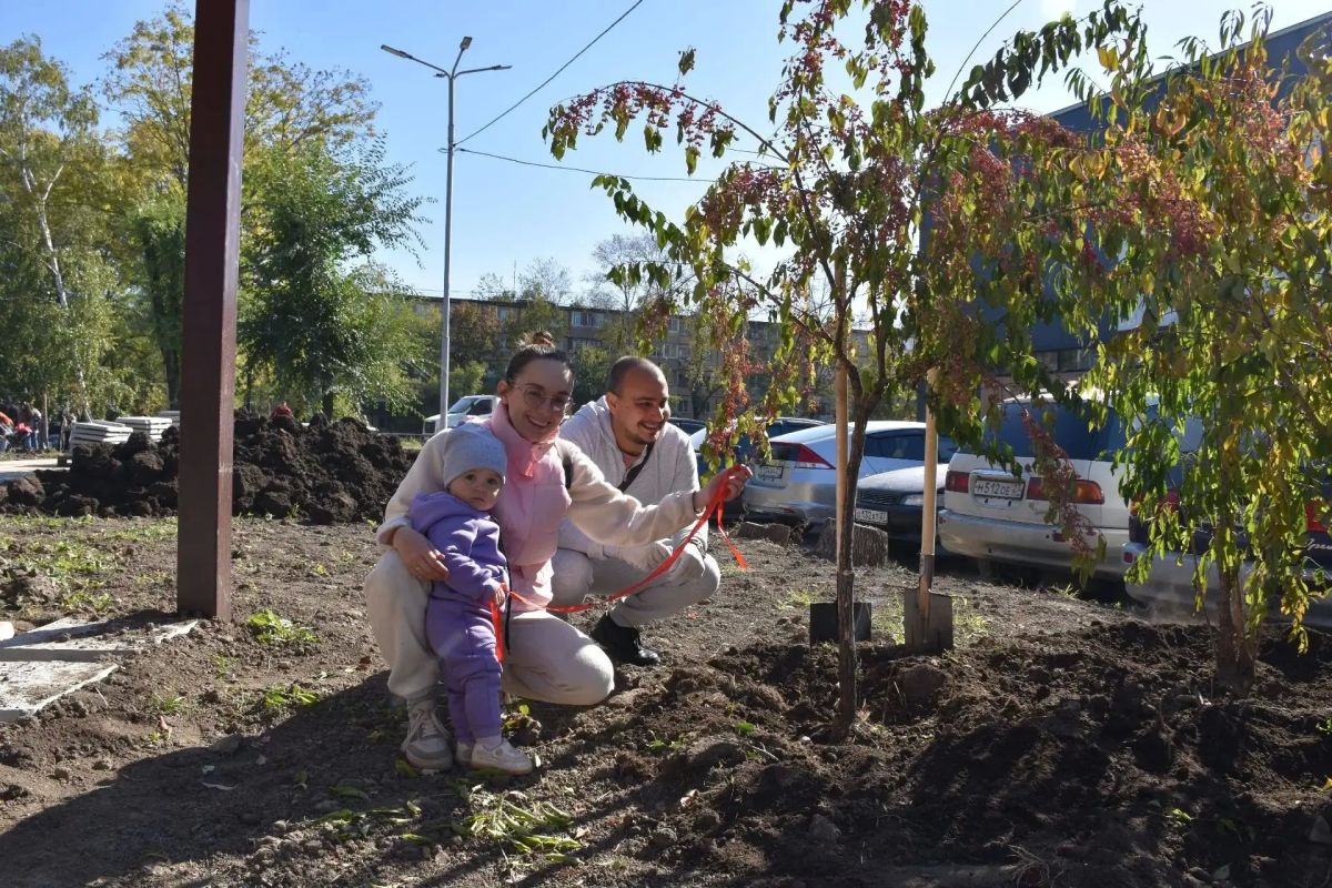Новые саженцы появились в Индустриальном районе Новые саженцы появились в Индустриальном районе