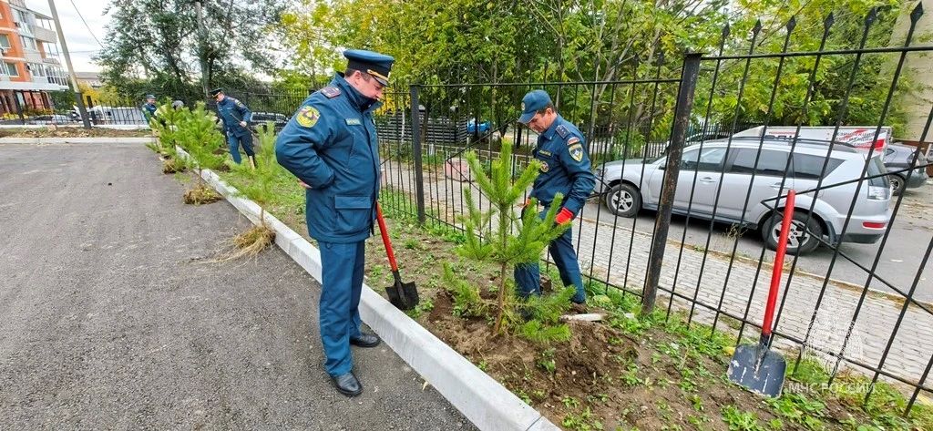 Накануне Дня гражданской обороны на территории пожарной части в Хабаровске появилась хвойная аллея Накануне Дня гражданской обороны на территории пожарной части в Хабаровске появилась хвойная аллея