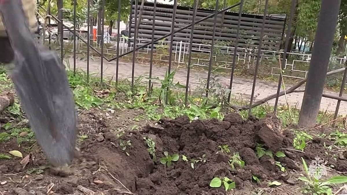 Накануне Дня гражданской обороны на территории пожарной части в Хабаровске появилась хвойная аллея