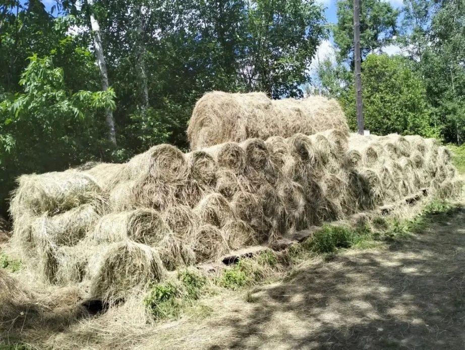 С господдержкой мама участника СВО из Амурска открыла свое дело С господдержкой мама участника СВО из Амурска открыла свое дело