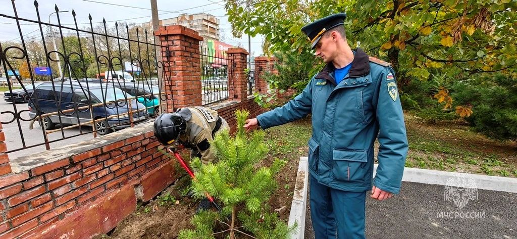 Накануне Дня гражданской обороны на территории пожарной части в Хабаровске появилась хвойная аллея Накануне Дня гражданской обороны на территории пожарной части в Хабаровске появилась хвойная аллея