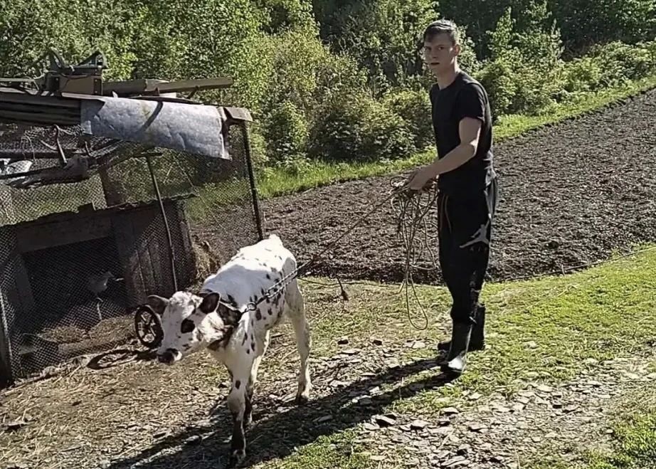 С господдержкой мама участника СВО из Амурска открыла свое дело С господдержкой мама участника СВО из Амурска открыла свое дело