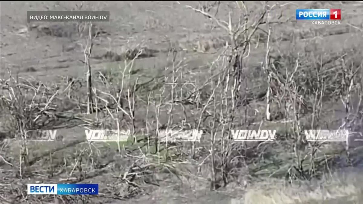 Воины-дальневосточники продолжают уверенное наступление в зоне спецоперации