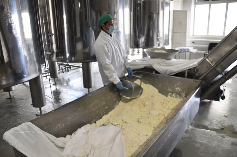 Безлактозную молочную продукцию теперь производят в Хабаровском крае — новую линейку выпустил Переяславский молочный завод