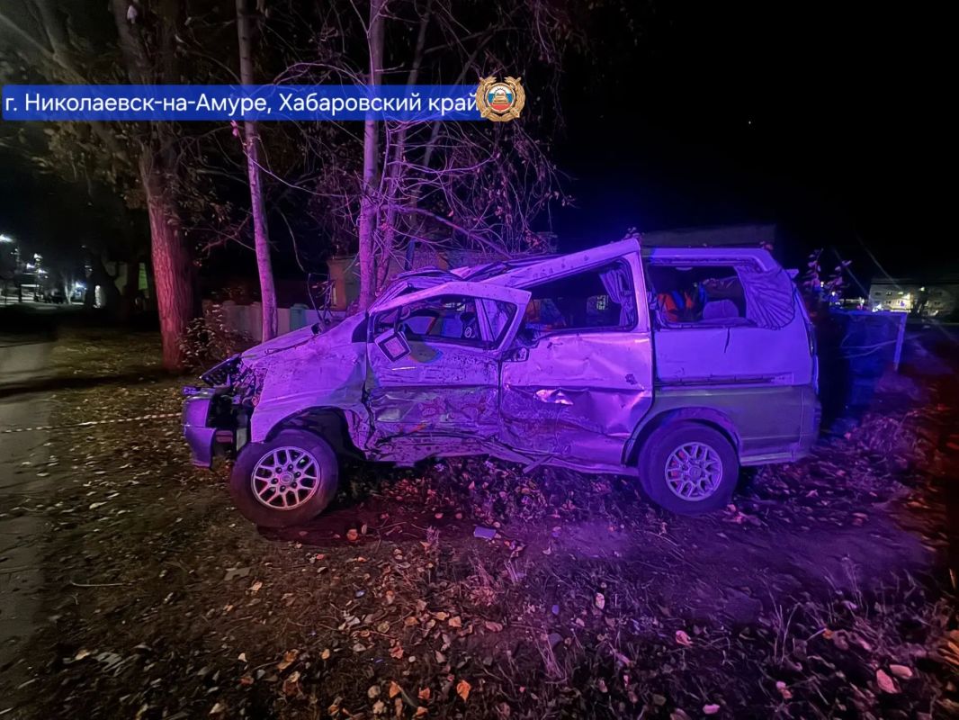 Два человека погибли и 8 пострадали в ночном столкновении в г. Николаевске-на-Амуре Два человека погибли и 8 пострадали в ночном столкновении в г. Николаевске-на-Амуре