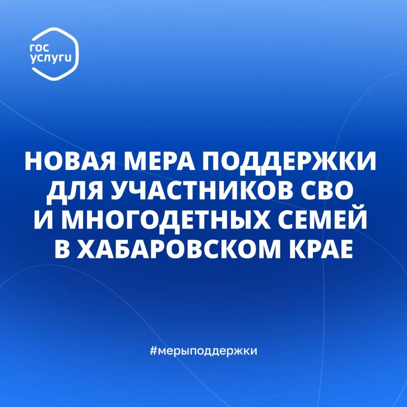 Новая мера поддержки для участников СВО и многодетных семей в Хабаровском крае