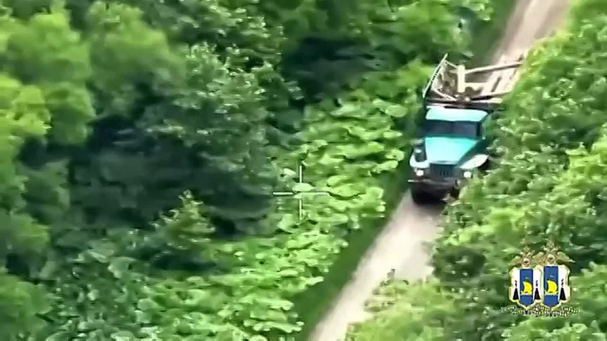 Беспилотник вывел полицию на "черного" лесоруба на Сахалине