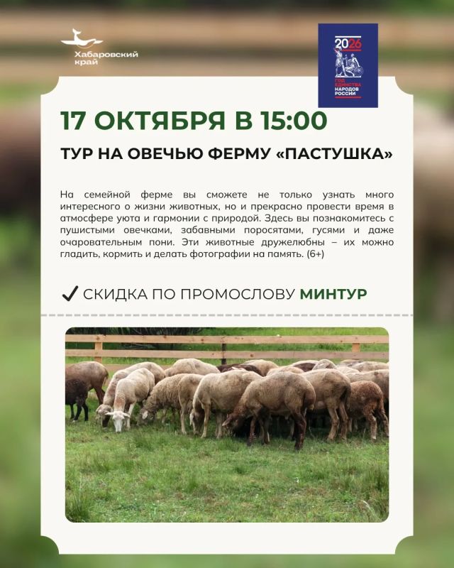 Куда поехать на выходные за самыми красивыми видами? Куда поехать на выходные за самыми красивыми видами?