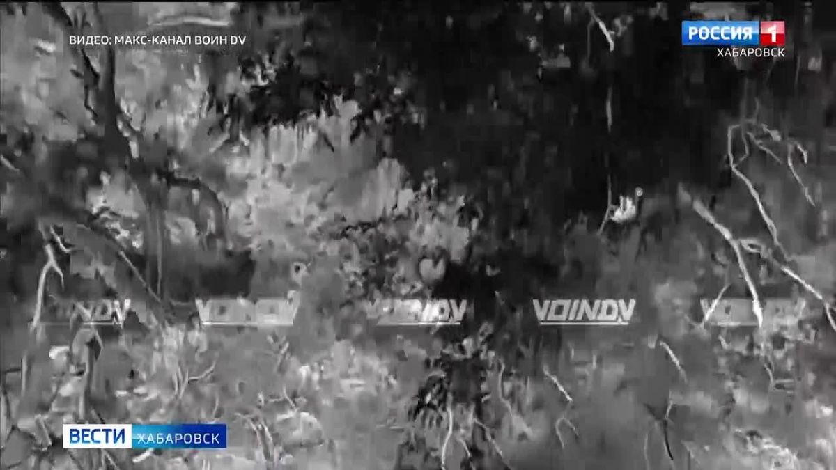 Воины-дальневосточники успешно пресекают любые попытки активности противника