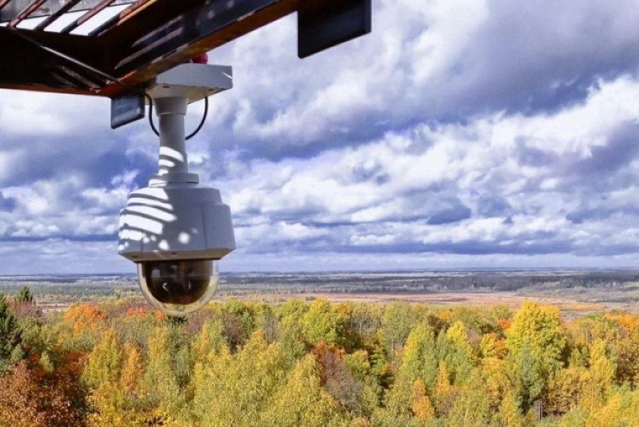 Оперативная сводка по лесным пожарам на 9:00 15 октября 2026 г