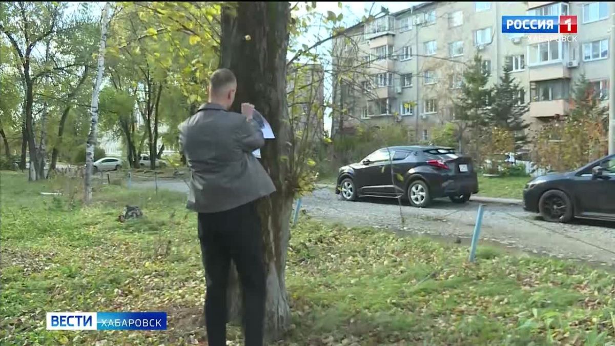 Чтобы смогли вернуться домой: чат-бот для поиска пропавших животных запустили в Хабаровске