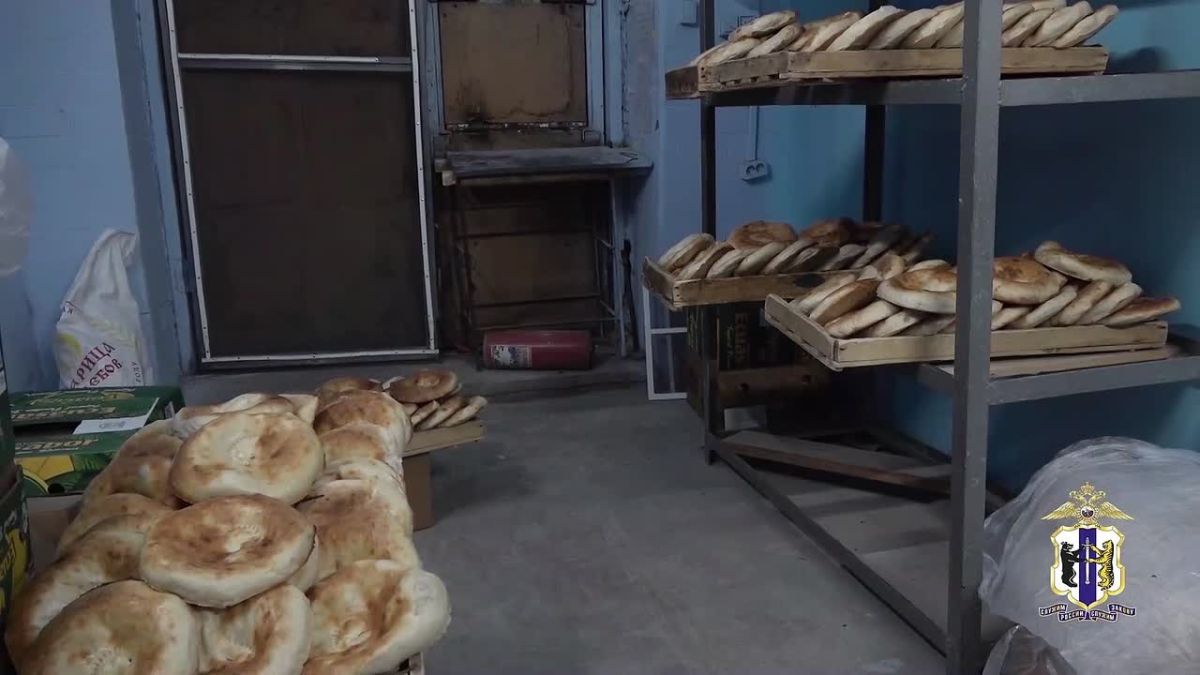 За 10 дней полицейскими выявлено более 500 нарушений миграционного законодательства на территории Хабаровского края
