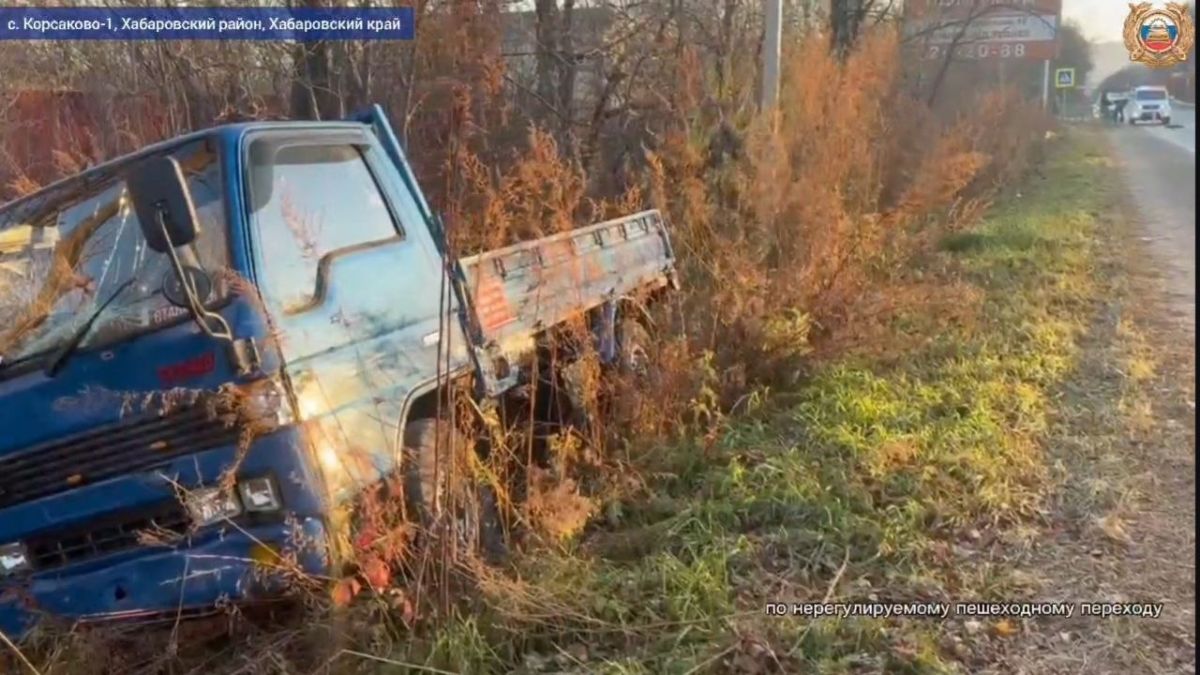 Водитель без прав сбил двух девочек в Хабаровском районе Водитель без прав сбил двух девочек в Хабаровском районе