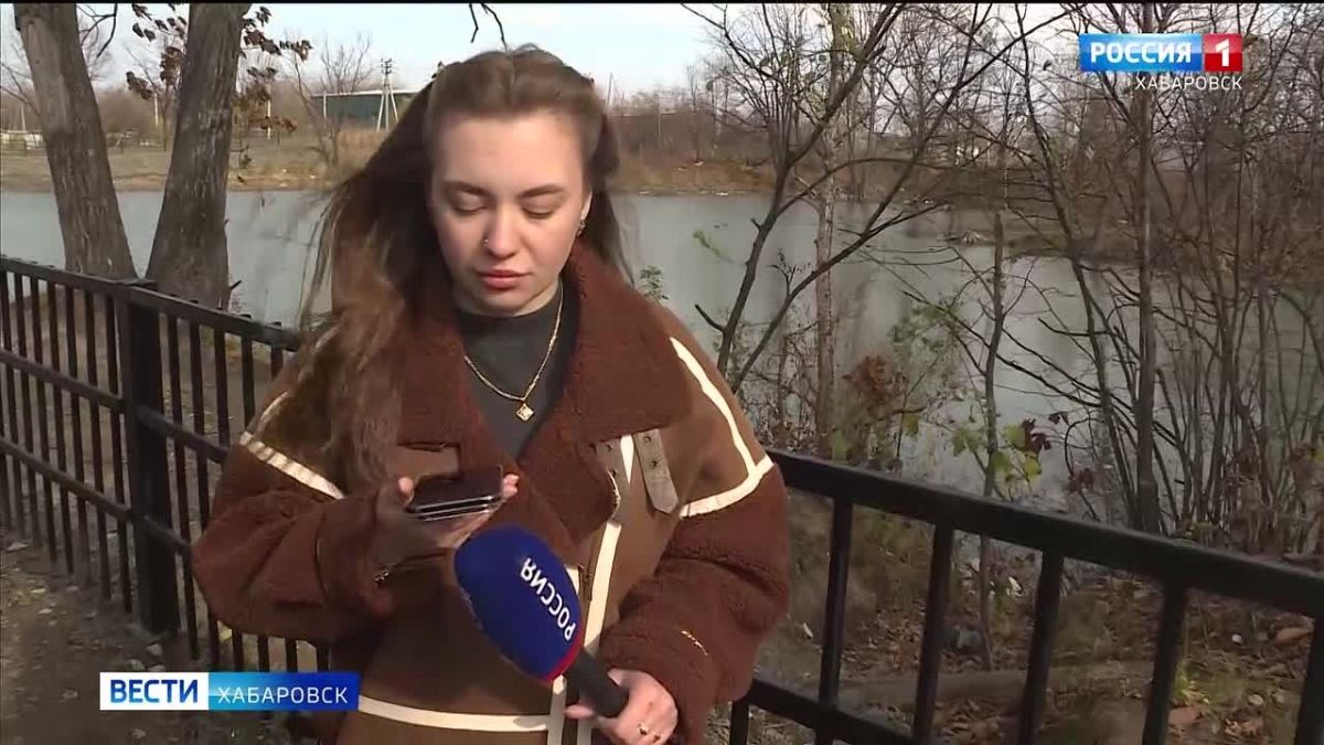 «Переживаем за них, зимой могут погибнуть»: хабаровчане пытаются спасти неперелётных гусей