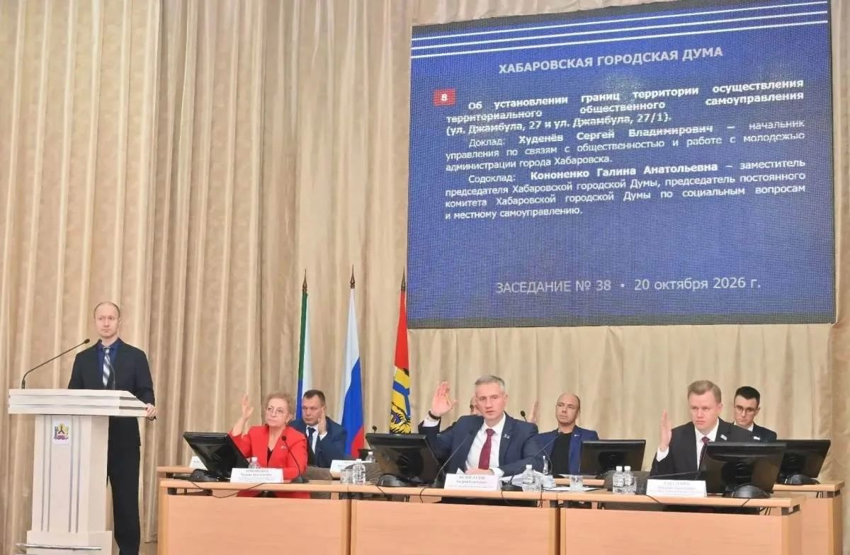 Границы четырех новых ТОСов утвердили депутаты Хабаровской городской думы