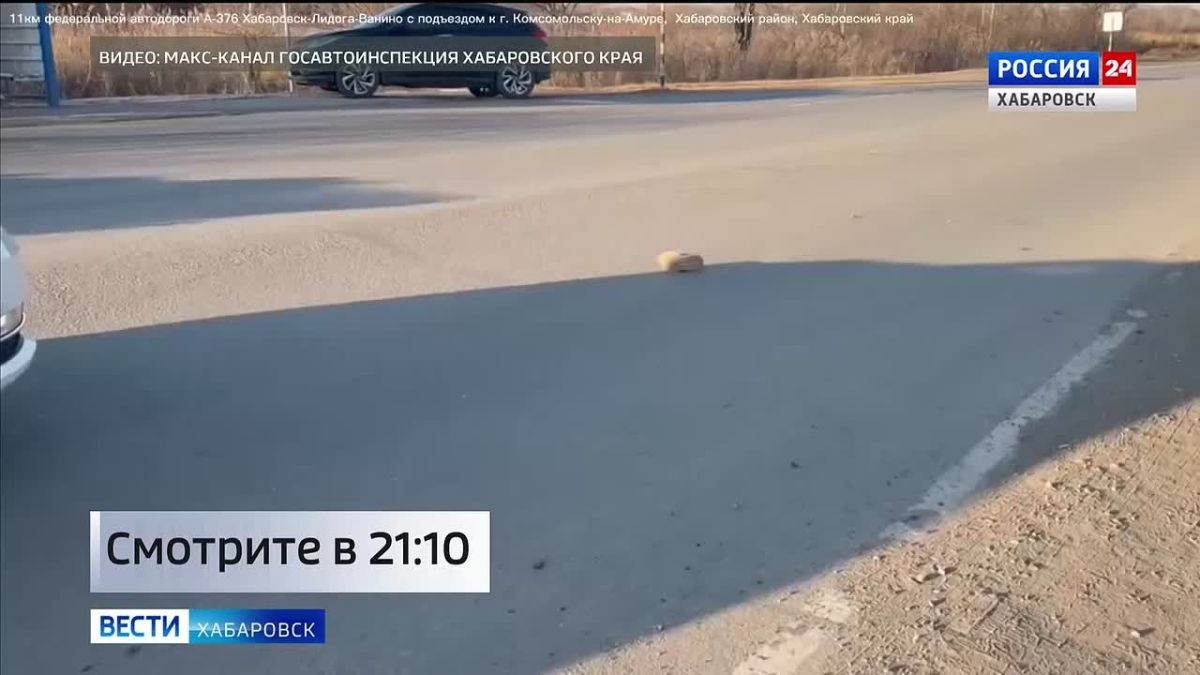 Смотрите в 21:10. Девятилетняя девочка погибла в ДТП в Хабаровском районе, ведётся розыск водителя