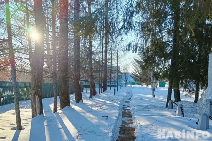 Погода в Хабаровске в ноябре 2026 года: когда ударят морозы и выпадет первый снег