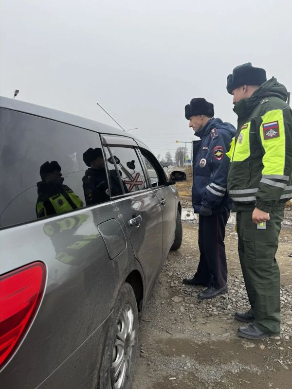 В Комсомольском районе сотрудники Госавтоинспекции провели профилактический рейд «Безопасность на дороге»